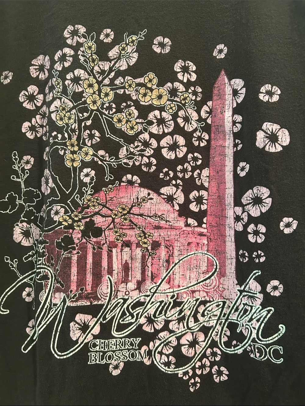 Delta Washington DC Cherry Blossom Graphic unisex Tee T-Shirt Black Pink XL